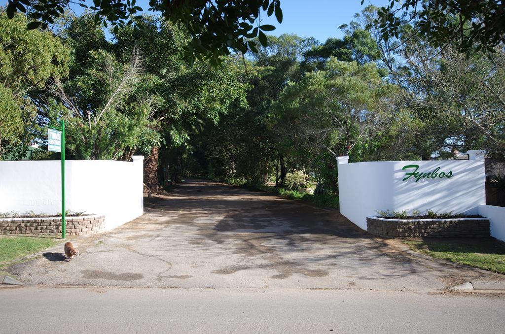 Fynbos Guest House Riversdale Exterior foto