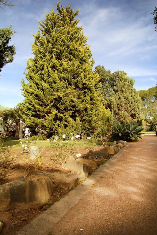 Fynbos Guest House Riversdale Exterior foto